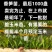 香笋苗