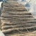 精品铁棍山药产地直发一手货源量大从优视频看货
