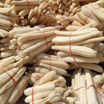 丝瓜络（软瓜）