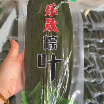 精品大叶