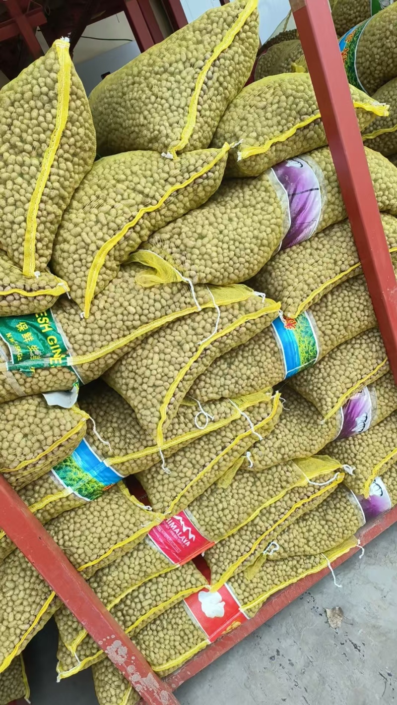 产地筛选山药豆大量现货供应各种规格需要的联系
