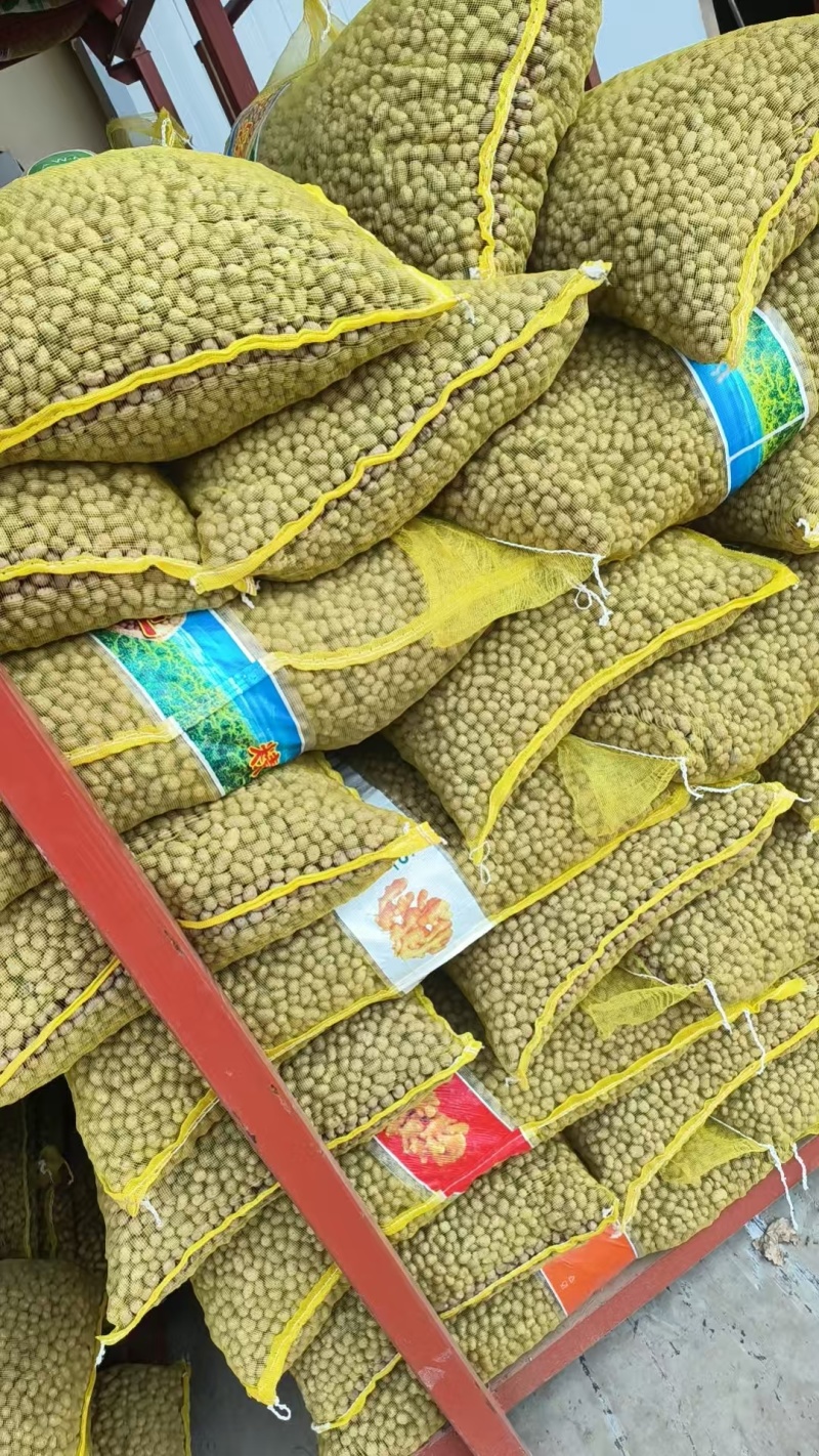 精选白玉山药豆大量上市对接超市电商批发市场集市现货供应