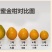 精品融安金桔脆蜜金柑5号果包邮