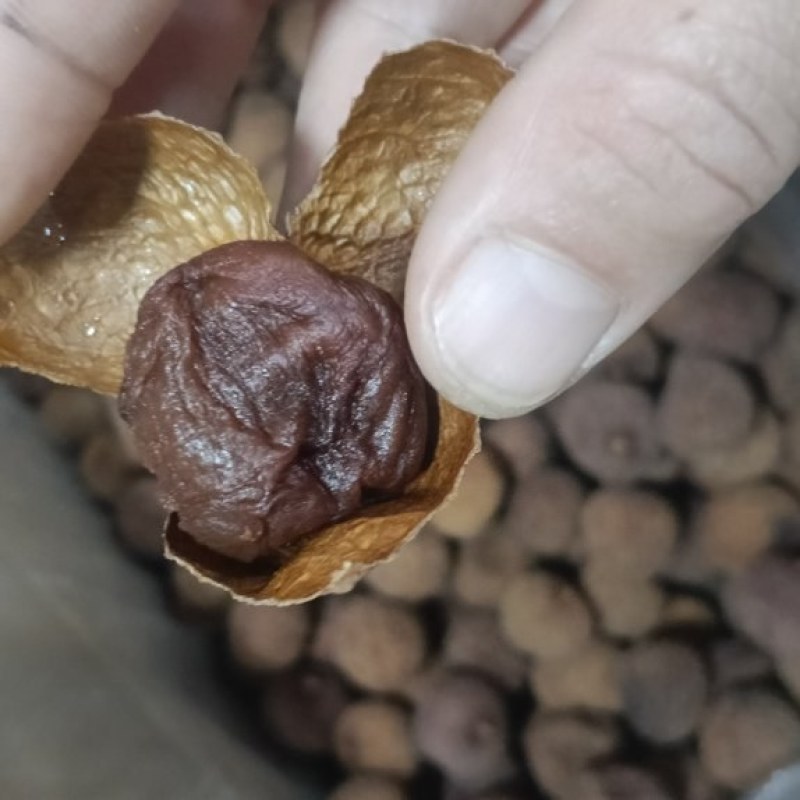 .广西博白鸡嘴荔枝干无硫材火烤软糯香甜批发零售