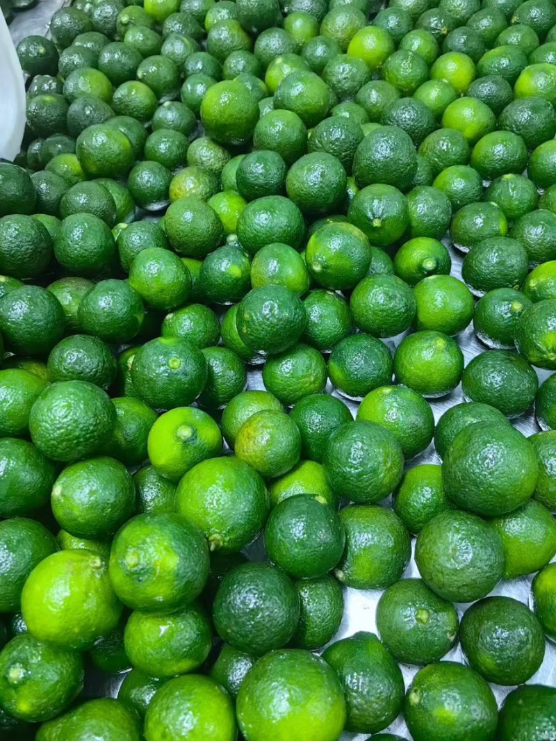 冷冻小青柑汁