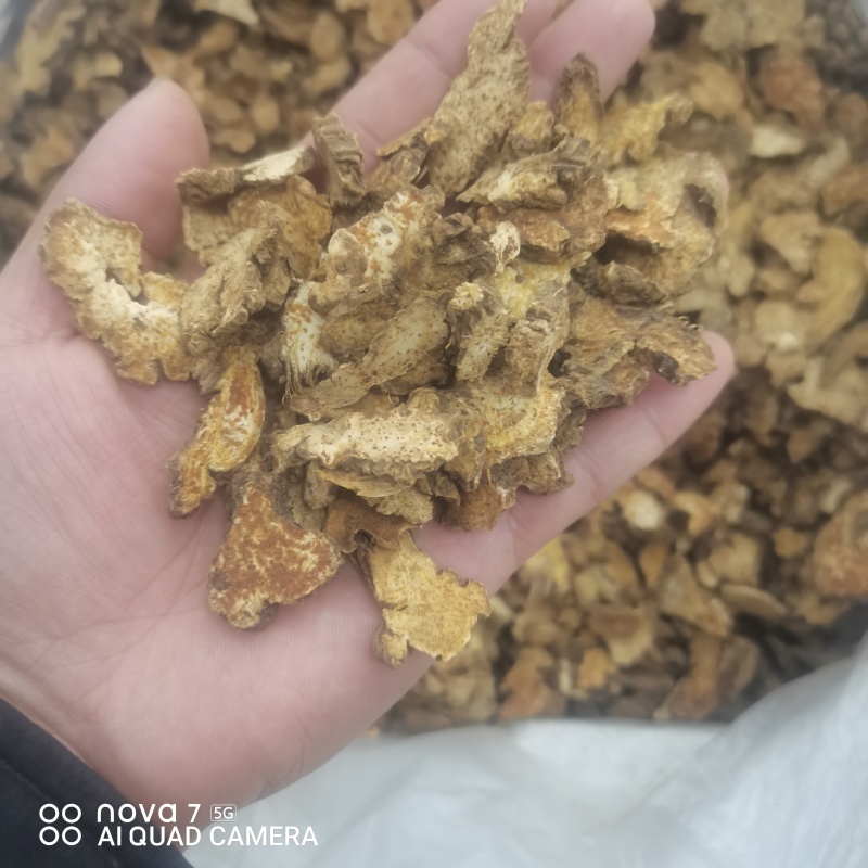 苍术有朱砂点的正品保证规格齐全大货供应