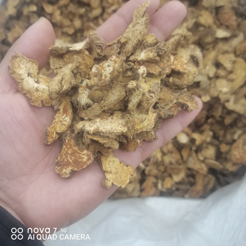 苍术有朱砂点的正品保证规格齐全大货供应