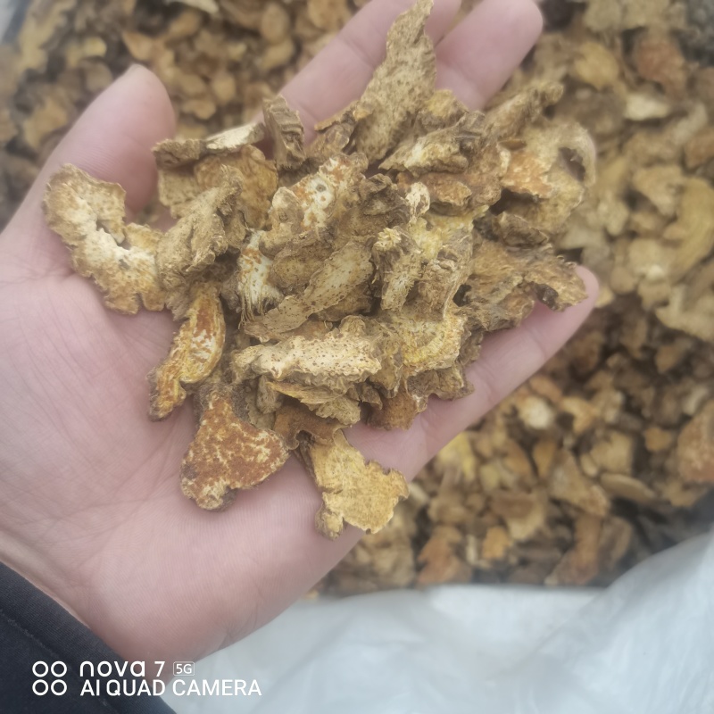 苍术有朱砂点的正品保证规格齐全大货供应