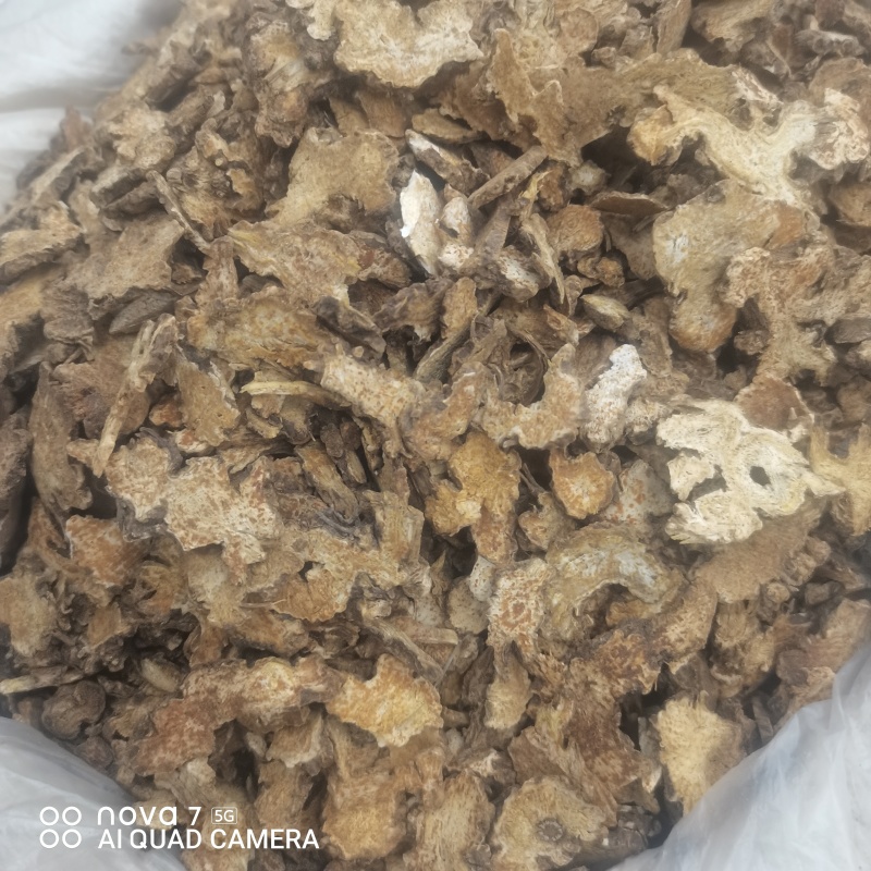 苍术有朱砂点的正品保证规格齐全大货供应