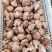 汇通香菇，汇通鲜香菇，对接商超档口，一件代发，价格便宜