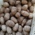 山东豆包芋头红芽芋头8520芋头货源充足保质保量全国发货