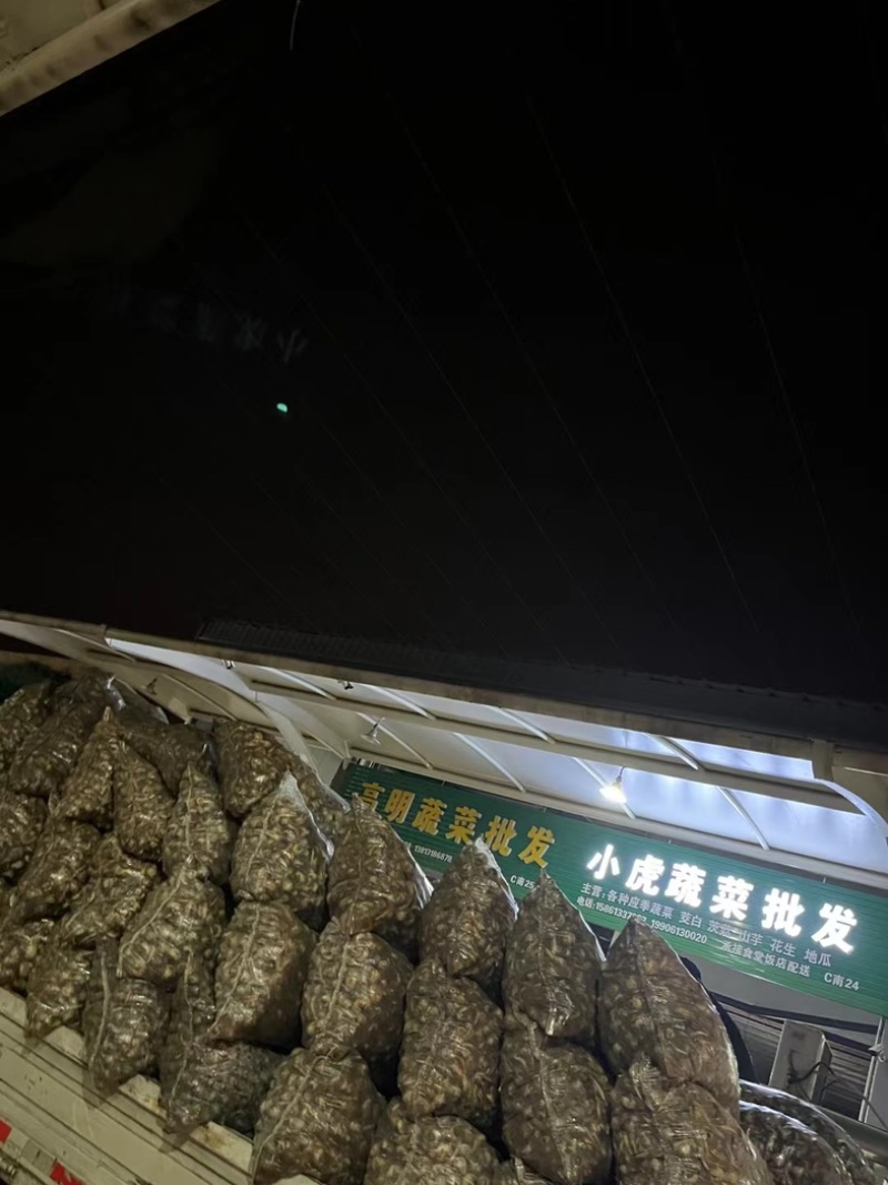 扬州宝应宽叶靖江云南本地茨菇白茨菇青茨菇紫茨菇