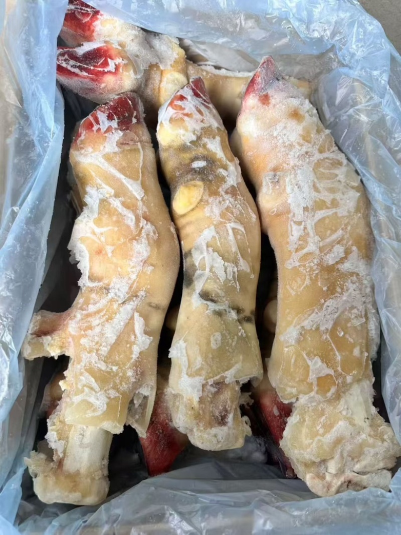 带骨前牛蹄