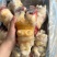 带骨前牛蹄