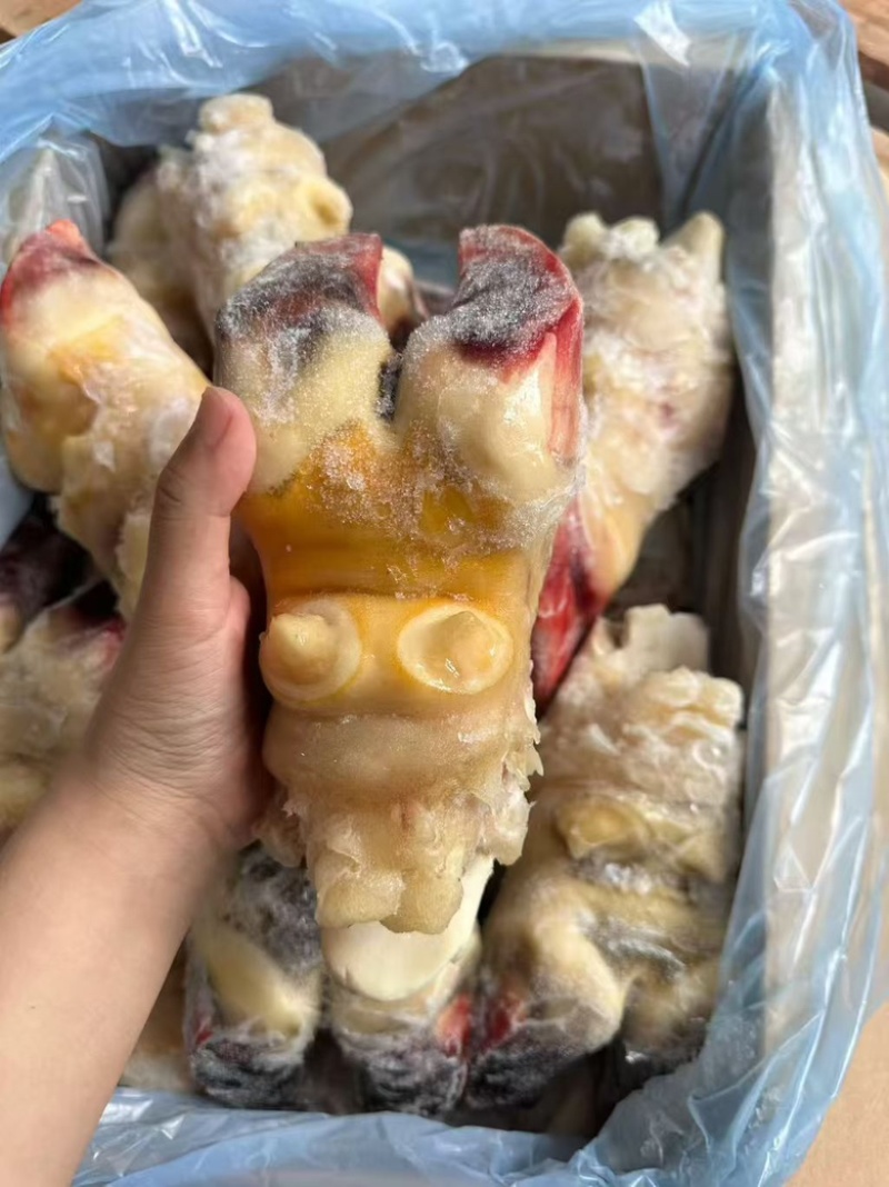 带骨前牛蹄