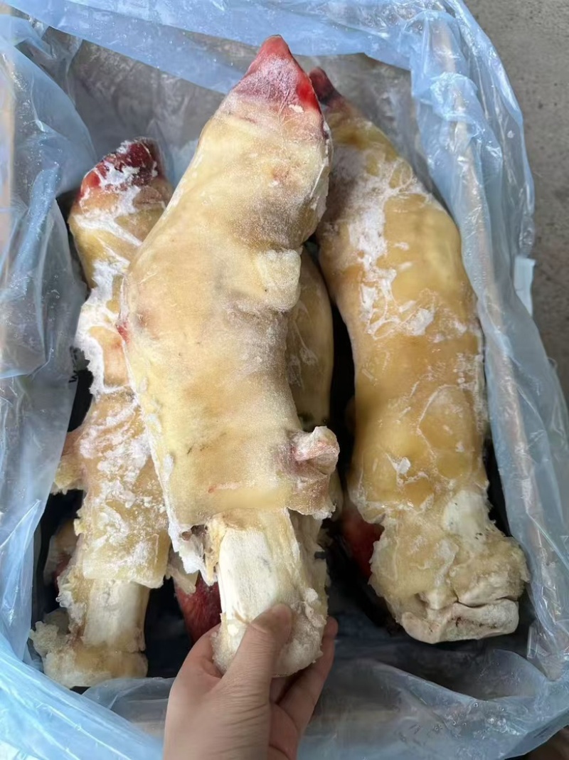 带骨前牛蹄