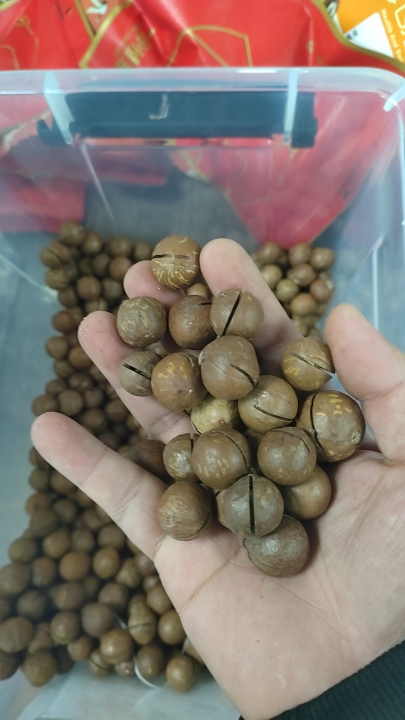 夏威夷果新果干货对接电商地摊欢迎咨询优惠多多
