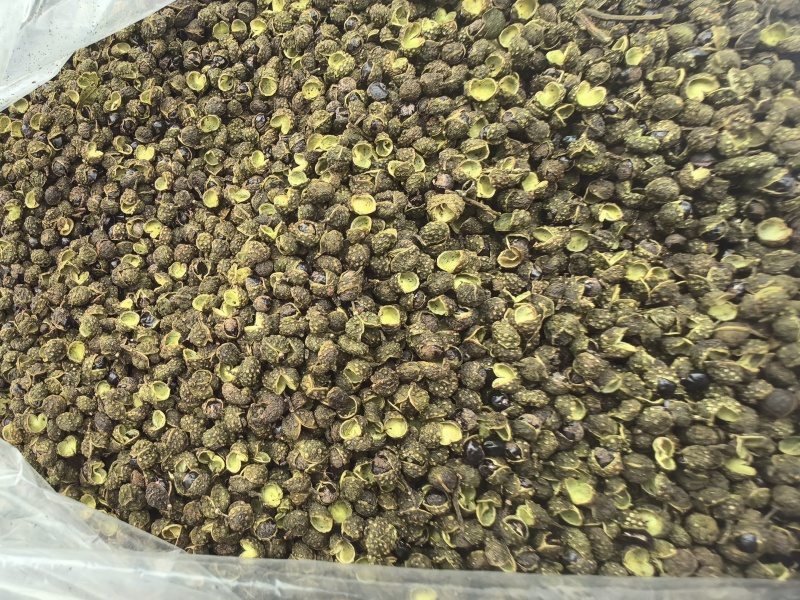 花椒麻椒基地直发青花椒自产自销青花椒花椒自然晾晒花椒好货