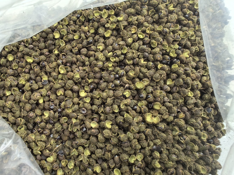 无杂质花椒麻椒青花椒干净花椒麻椒青花椒基地一手货源批发零