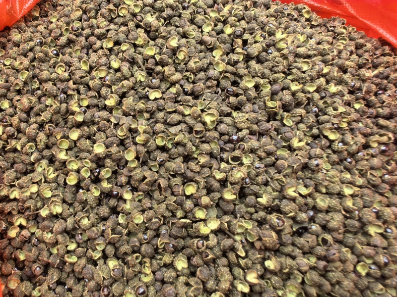 精品麻椒足干青花椒电商可用花椒麻椒青花椒基地直发价格不高