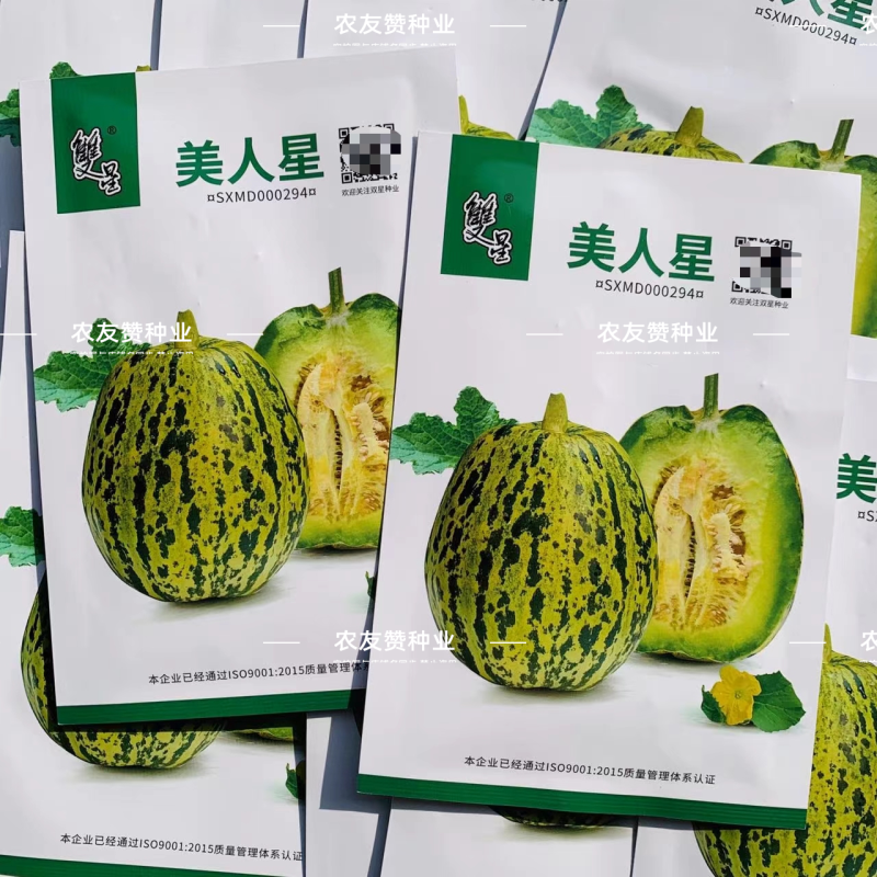 双星种业花美人甜瓜种子美人星甜瓜种子脆甜高糖薄皮绿肉超甜