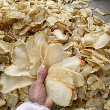 昭通小草坝干天麻片无硫熏、足干、鲜切片、片片精粹