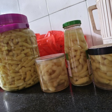 手工糖醋生姜和糖炒生姜