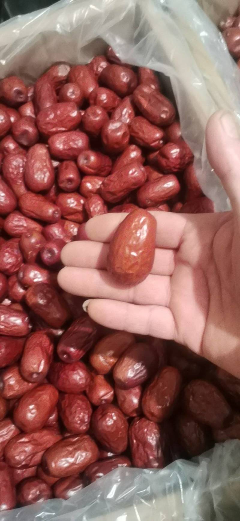 壶瓶枣