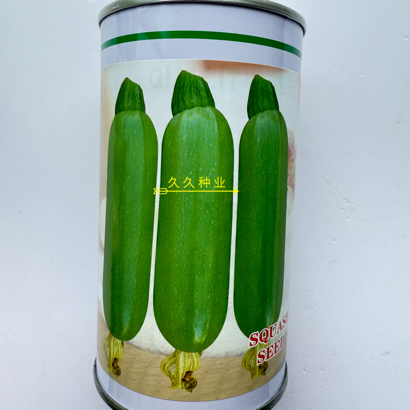 中创亚历特绿西葫芦种子翠绿色瓜纹细腻美观瓜条顺直抗病高产