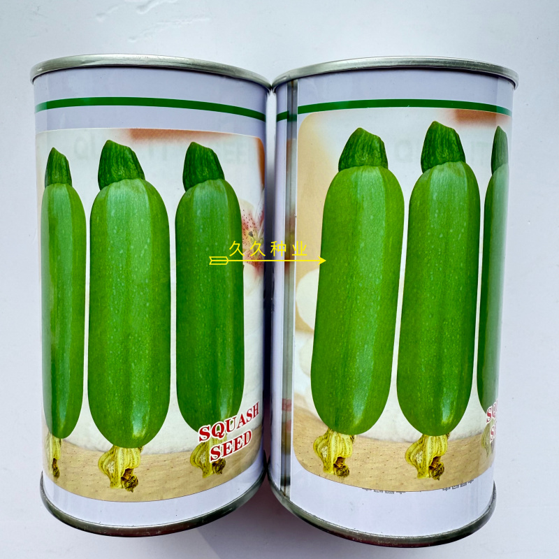 中创亚历特绿西葫芦种子翠绿色瓜纹细腻美观瓜条顺直抗病高产