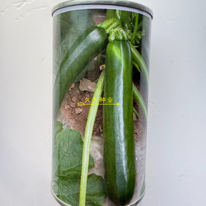 黑帅西葫芦种子好吃品种黑绿有光泽的黑西葫芦种籽