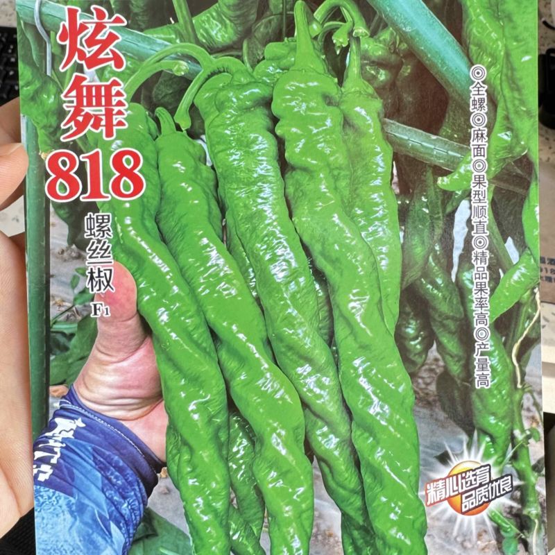 蔬菜种子/辣椒种子/武汉/洪山区直供/可零售批发
