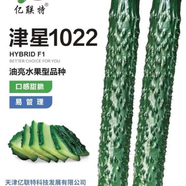 黄瓜种子津星1022油亮水果型密刺黄瓜耐低温带瓜强