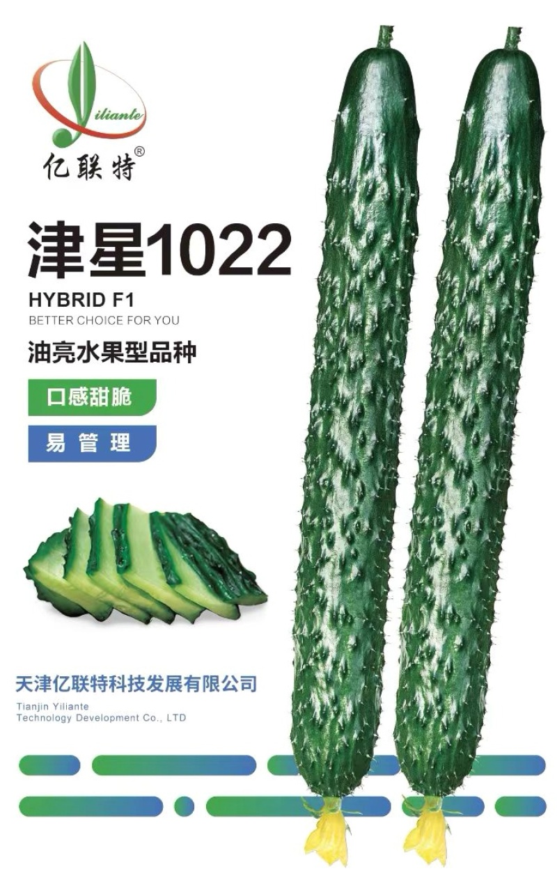 黄瓜种子津星1022油亮水果型密刺黄瓜耐低温带瓜强