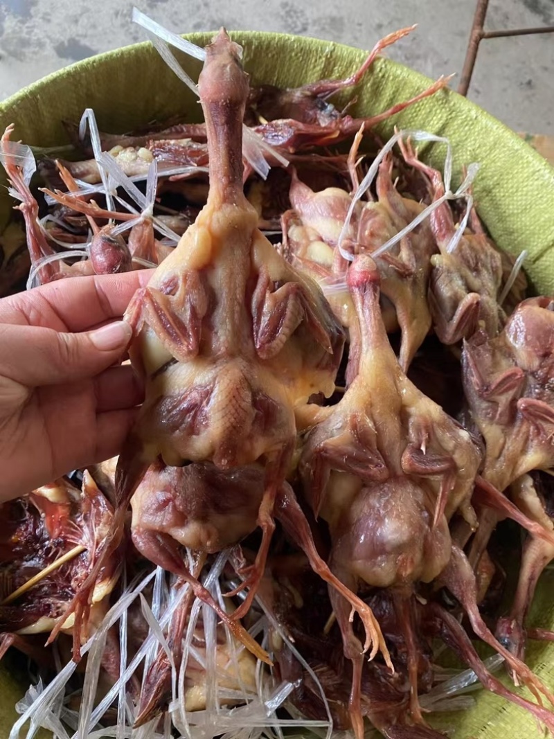 腊鹌鹑