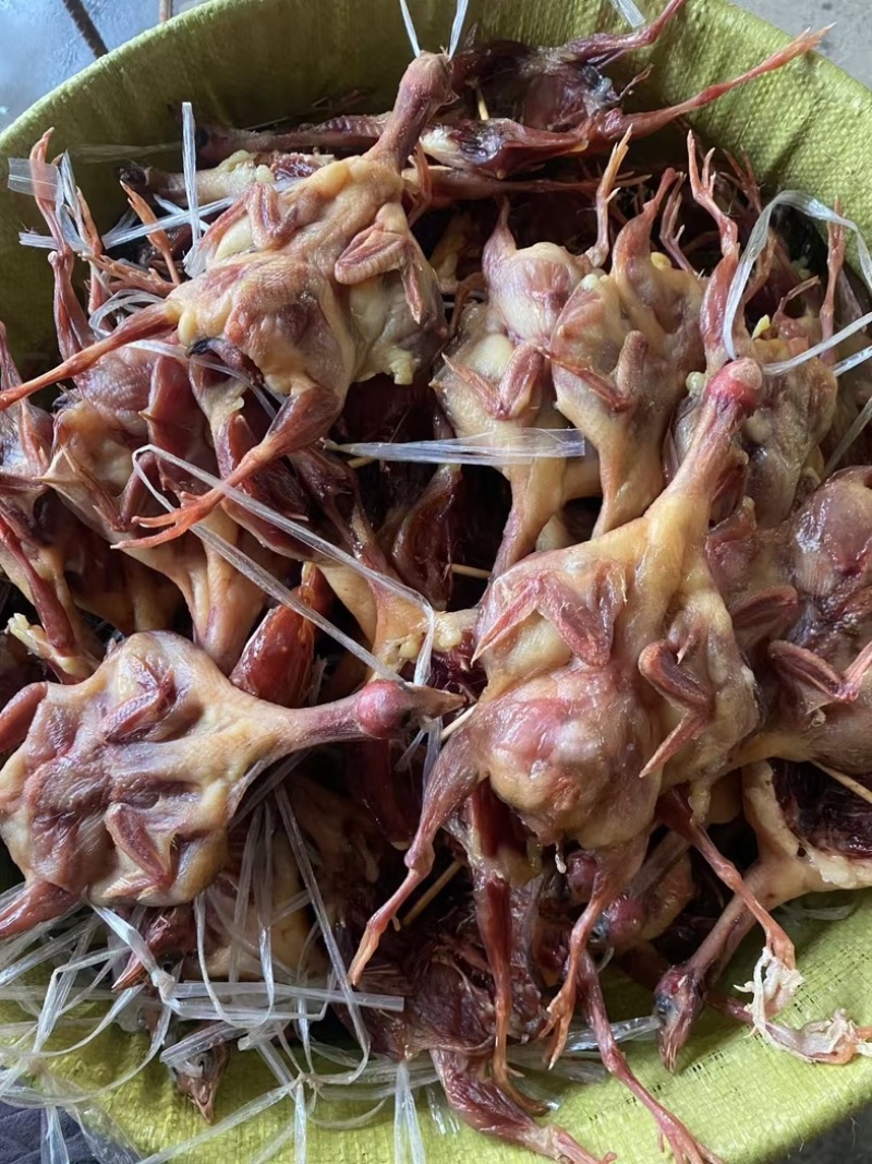 腊鹌鹑