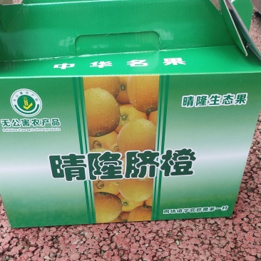 贵州，鸡场脐橙，爱媛