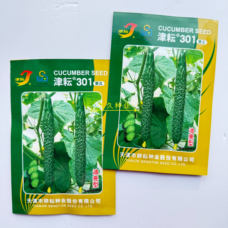 津耘301黄瓜种子油亮短把密刺绿肉甜脆耐热春夏季秋季露地
