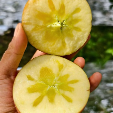 云南昭通丑苹果红富士口感特别好脆甜多汁十几带箱