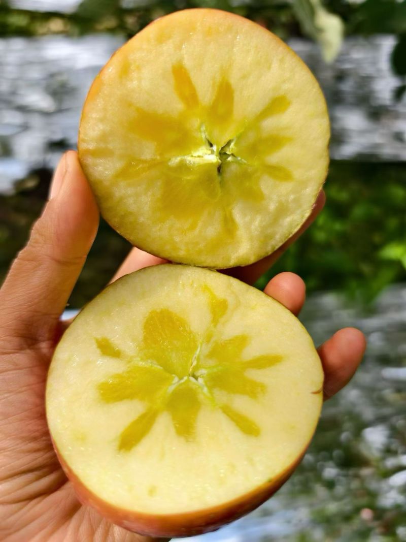 云南昭通丑苹果红富士口感特别好脆甜多汁十几带箱