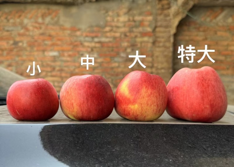 云南昭通丑苹果红富士口感特别好脆甜多汁十几带箱