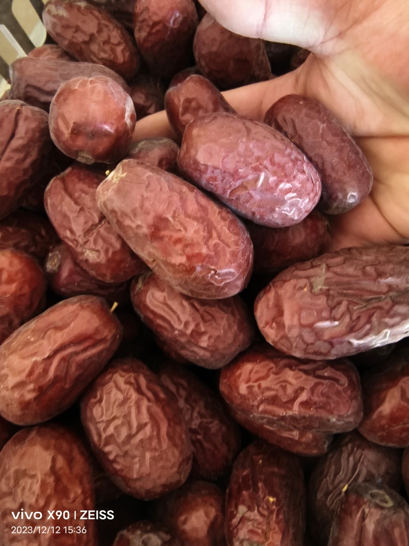 昆玉市二二四团红枣