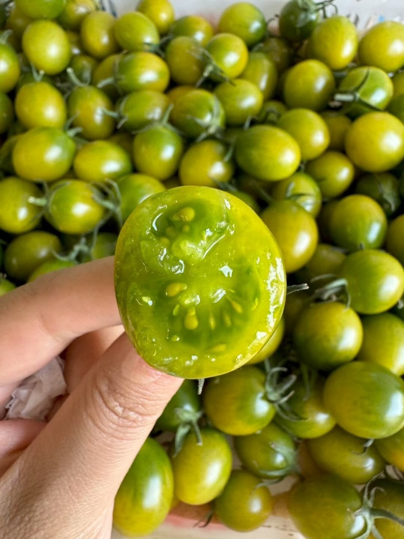 广东电白青甜大量上市