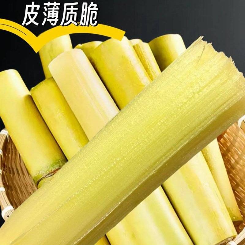 （实）云南甘蔗产地直销，物美价廉，品质可靠，代发全国