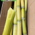 （实）云南甘蔗产地直销，物美价廉，品质可靠，代发全国