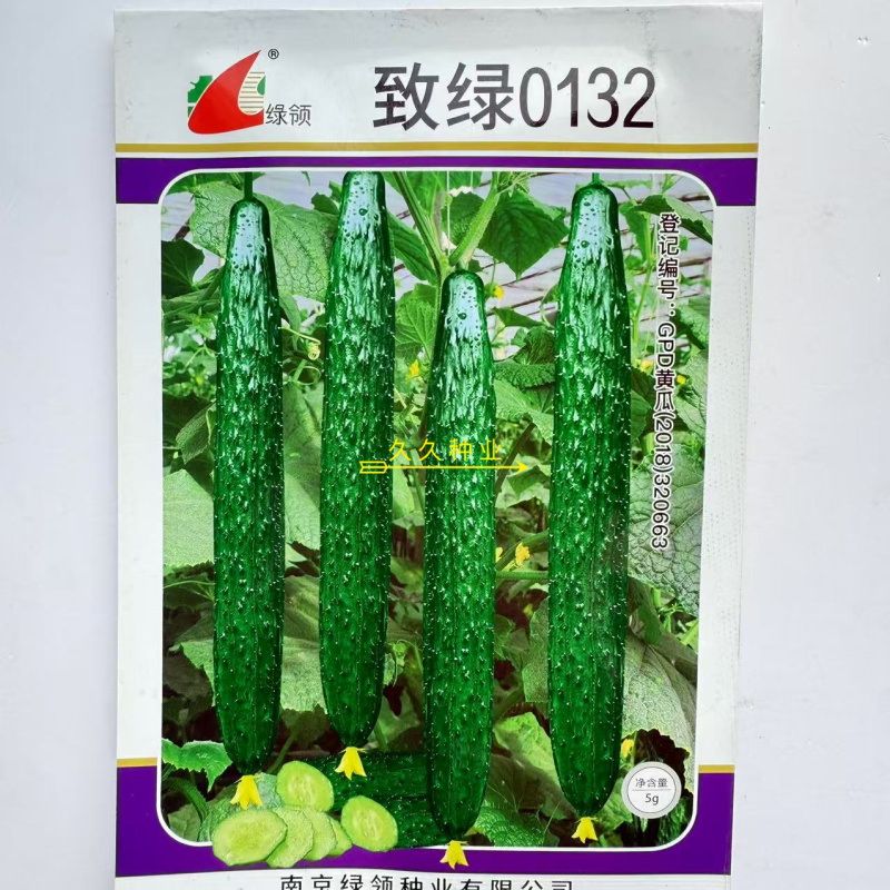 致绿0132黄瓜种子高产抗病黄瓜南北方农家春秋播种