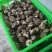 鲜香菇大量有货可对接电商平台发全国