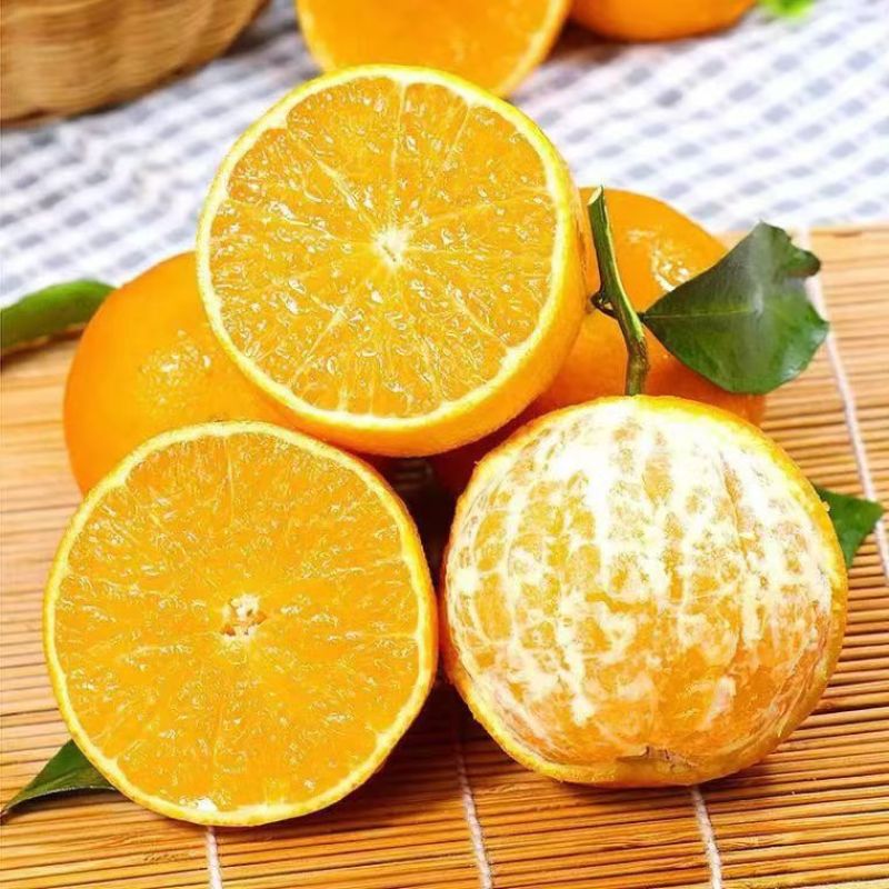 平乐县爱媛橙