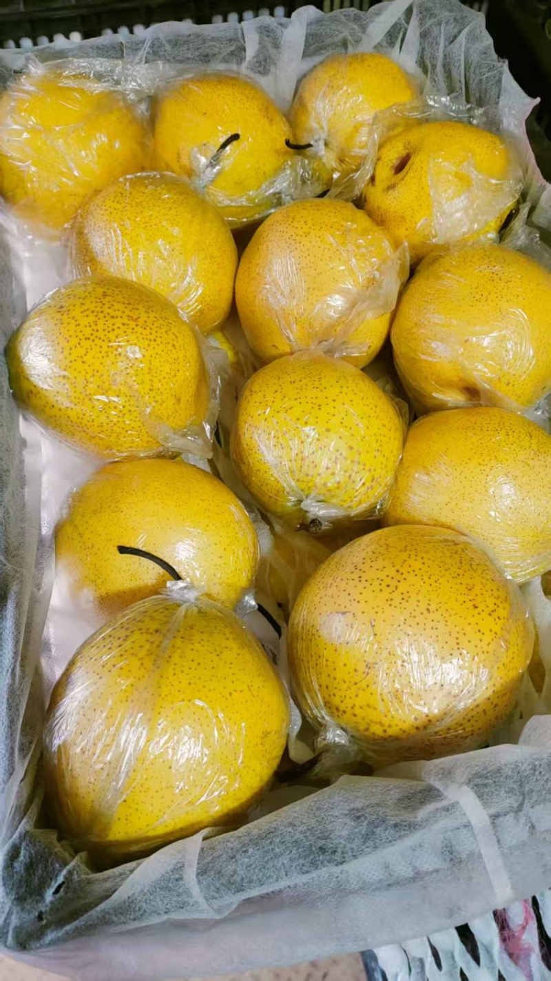 手选雪花梨