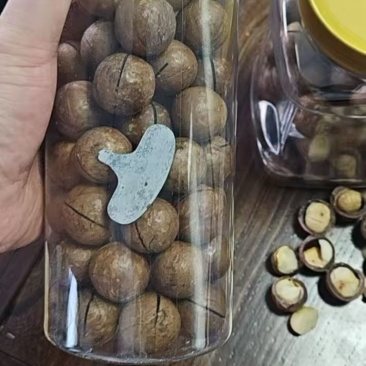夏威夷果大量现货可发